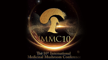 IMMC10利用小语种提升Facebook 运营和谷歌广告效果.jpg