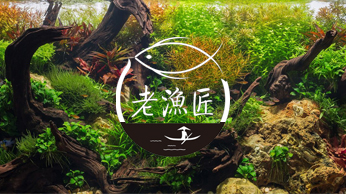 深沐泽选择上海百客聚为其数字营销服务商.jpg