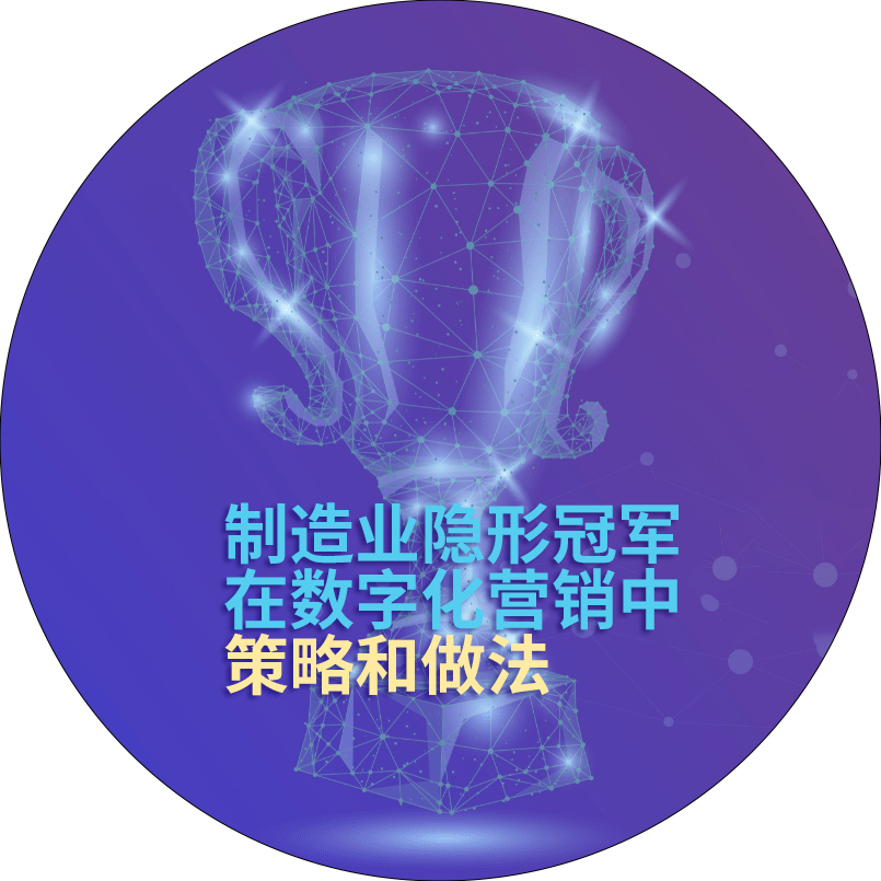 制造业的隐形冠军在数字化营销经常会做什么呢-星光营销软件.png