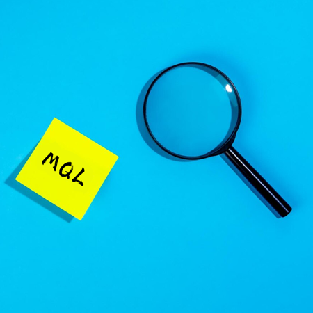 MQL 的基础知识以及如何通过 5 个简单步骤识别它们.png