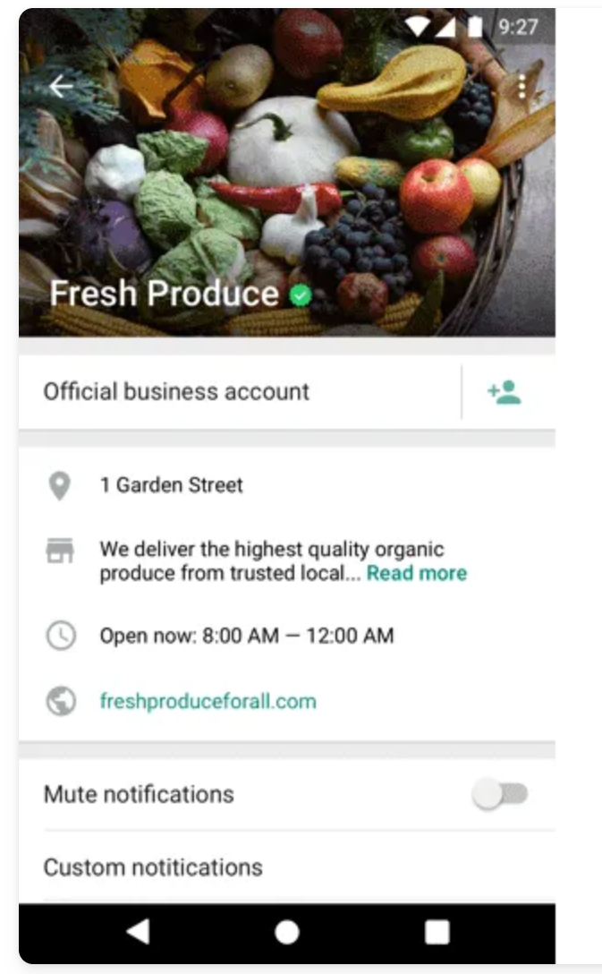 WhatsApp Business Account02.png